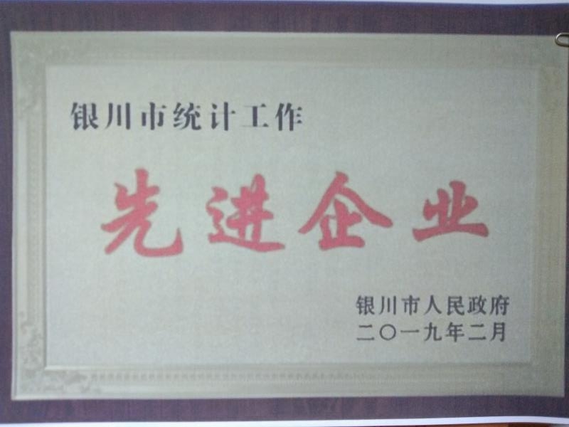 銀川市統(tǒng)計工作先進(jìn)企業(yè)